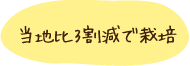 当地比3割減で栽培